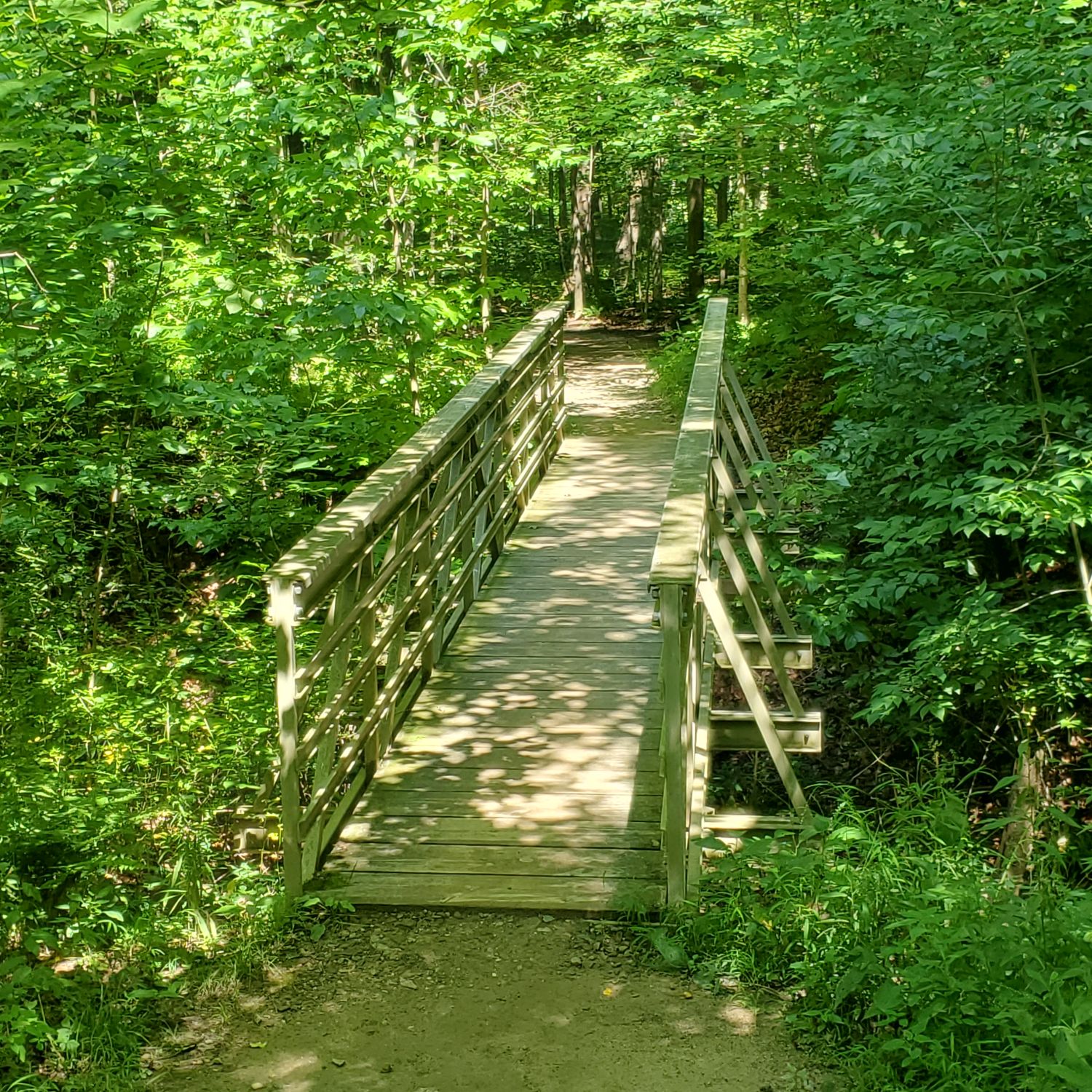 Stanford and Brandywine Gorge Trails 